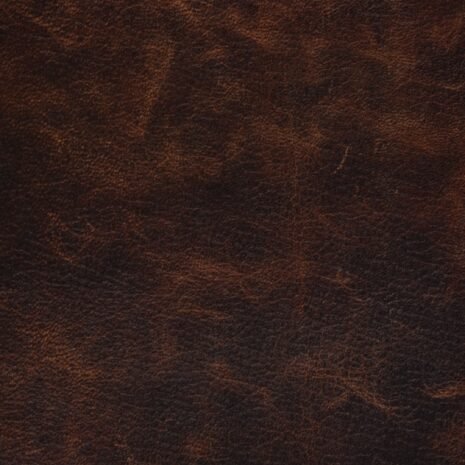 bufalo_miel bufalo_miel