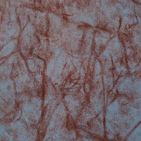 carolina_azul carolina_azul