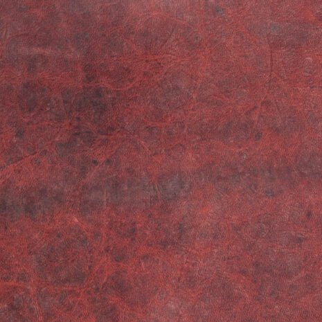 isabella_rojo isabella_rojo