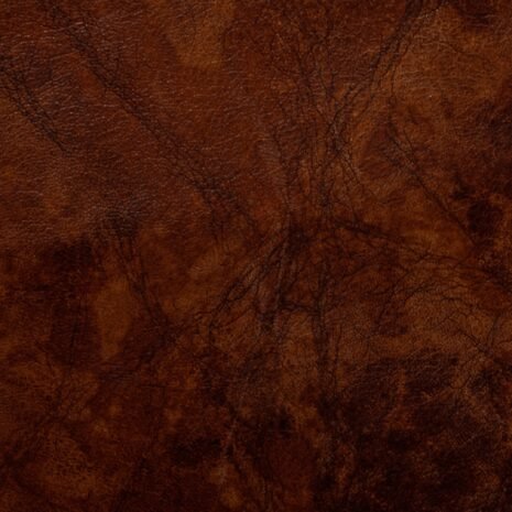 montero_miel montero_miel